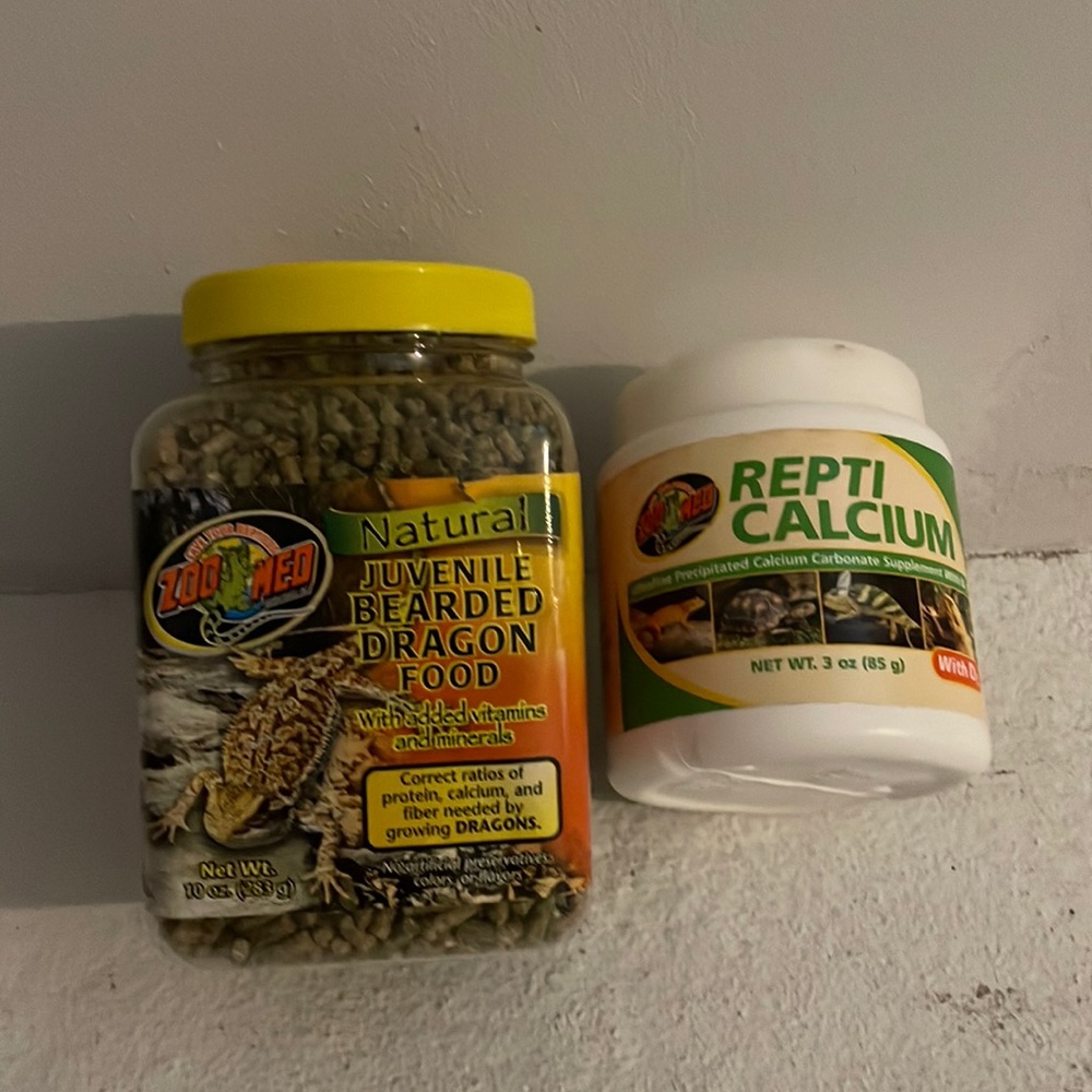 bearded dragon food
